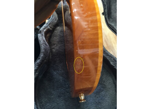 Gibson Les Paul Standard Dc Plus Amber (16363)