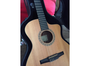Taylor NS24ce (92813)