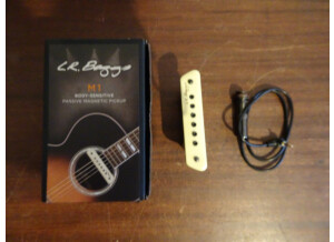 L.R. Baggs M1 (54989)