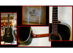 Guitare Norman B15...montage 2