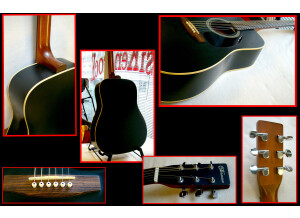 Guitare Norman B15...montage 4