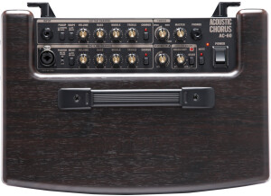 Roland AC-60-RW (51240)