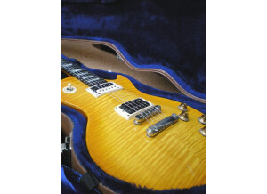 Gibson Les Paul Signature Gary Moore (53047)