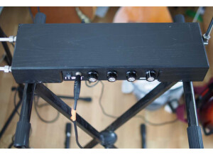 Moog Music Etherwave Theremin Standard (53151)