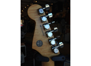 Fender Select Stratocaster (84160)