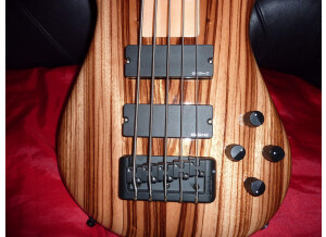 Spector ReBop 5 DLX (5504)