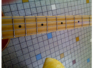 Peavey Fury (84387)