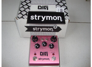 Strymon DIG (48048)