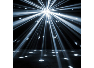 Toca Percussion Djembé 14" SFDJ14SP Snake Pit (58703)