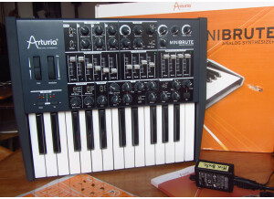 minibrute