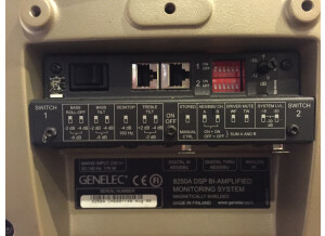 Genelec 8250A (8781)