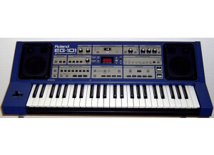 Roland EG-101 (76450)