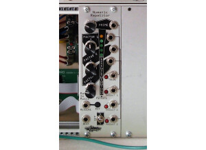 Noise Engineering Numeric Repetitor (10666)