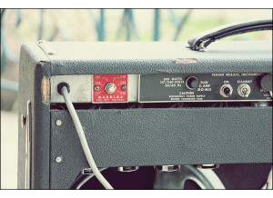 Fender Dual Showman Reverb (SilverFace) (60637)
