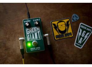 Greer Amplification Green Giant