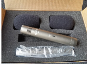 Prodipe Microphone A1 Duo (47554)