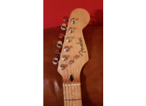 Fender Special Edition Lite Ash Stratocaster (79511)