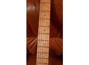 Fender Special Edition Lite Ash Stratocaster (68528)