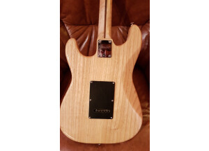 Fender Special Edition Lite Ash Stratocaster (2627)