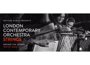 Spitfire Audio London Contemporary Orchestra Strings (85613)