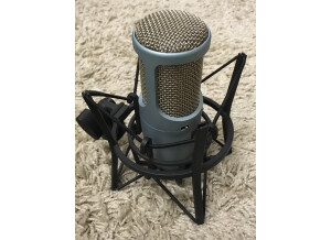AKG Perception 200 (51451)