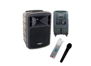 Ibiza Sound PORT10DVD-VHF (50228)