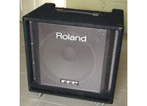 Roland D-Bass 115