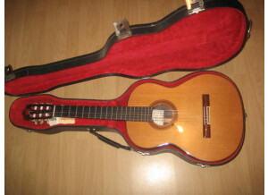 Alhambra Guitars 6P (61438)