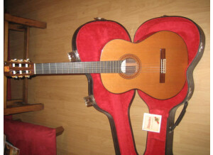 Alhambra Guitars 6P (68037)