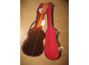 Alhambra Guitars 6P (57090)