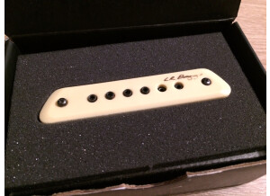 L.R. Baggs M1 (37643)