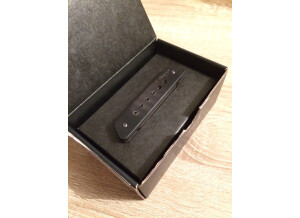 L.R. Baggs M1 (85358)