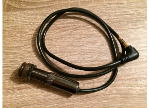 L.R. Baggs M1 (70709)