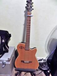Godin A6