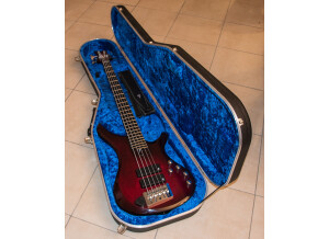 Vigier Passion IV 5 Strings (55917)