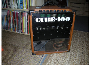 Roland Cube 60 Vintage (70305)