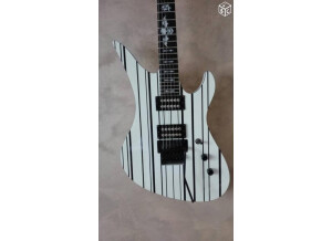 Schecter Special Edition Synyster Custom