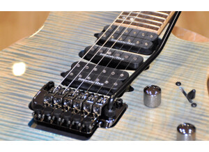 Ibanez RG970WQMZ (49306)
