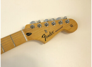 Fender Standard Stratocaster [2009-Current] (6993)
