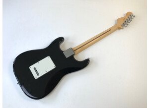 Fender Standard Stratocaster [2009-Current] (44990)