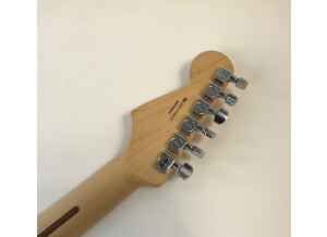 Fender Standard Stratocaster [2009-Current] (87727)