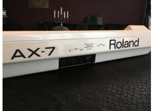 Roland AX-7 (8074)