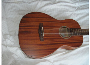 Tanglewood TW133 (263)