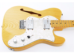 Greco TE-500 "Spacey Sounds" (Fender Telecaster Thinline 72 Replica) (28808)