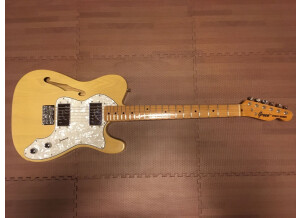 Greco TE-500 "Spacey Sounds" (Fender Telecaster Thinline 72 Replica) (91487)