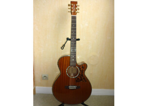 Tanglewood TW47 E (96414)