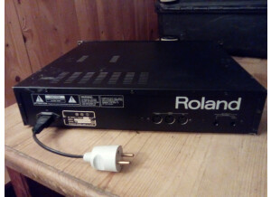 Roland D-550 (8285)