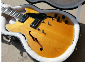Gibson Midtown Custom (50921)