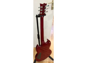 LTD Viper-256 - Aged Vintage Cherry (67340)