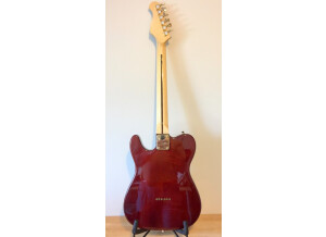 Sx Guitars Telecaster Thinline (39110)